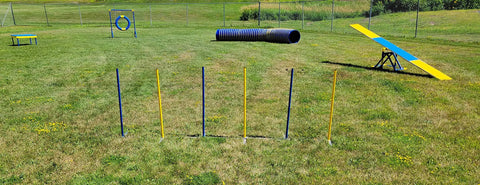 Outdoor Dog Agility Weave Pole System For Above Ground Obstacle Course Training 6 Pole Set with rustproof PVC on grass
