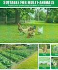 Heavy Duty Portable Temporary Fence 36 Inch Tall, 50 Foot Long Garden Fence For Dogs And Small Animals, Plastic Mesh shown protecting chickens.