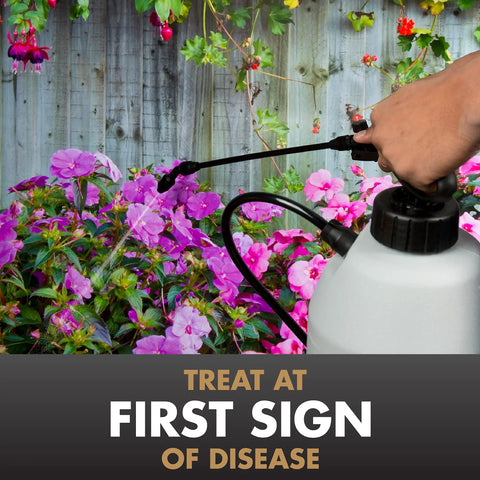 Person spraying flowers with Multi Purpose Fungicide Spray Concentrate For Gardens Rainproof Protection Up To Two Weeks