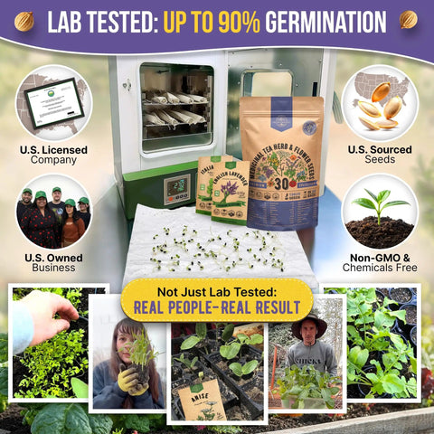 Display of Grab And Grow All In One Medicinal Tea Herb And Flower Seeds Variety Pack with seedlings and planting setup.