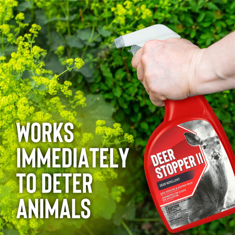 Hand holding Deer Stopper deer repellent spray with lush green plants in background