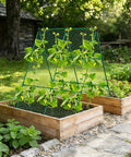 Cucumber Trellis 35 Inch By 50 Inch A Frame Garden Trellis For Climbing Plants in raised beds surrounded by greenery