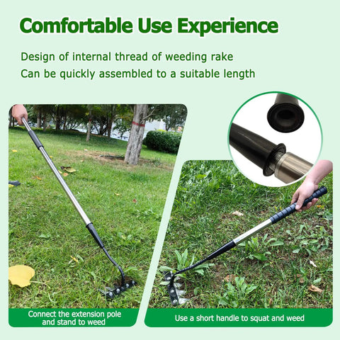 Beefed Up Long Handle Iron Weeding Rake With Thickened 5 Tooth Carbon Steel Head in use, adjustable length shown