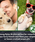 Man hugging golden retriever next to dog wearing sunglasses on artificial grass with product logo in corner