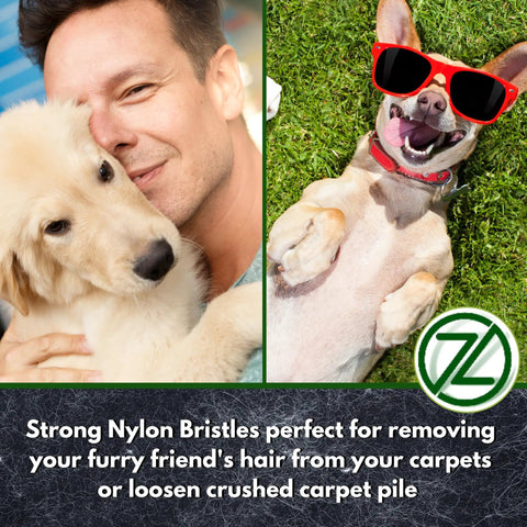 Man hugging golden retriever next to dog wearing sunglasses on artificial grass with product logo in corner