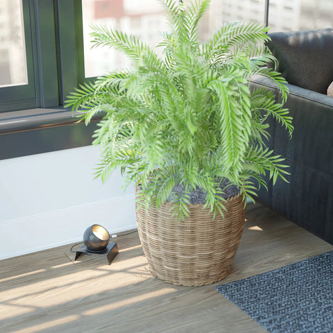 Oil Rubbed Bronze Spotlight Accent Light For Home Decor, Gives Your Space Some Wow Factor Behind Sofas, Plants, And Vases