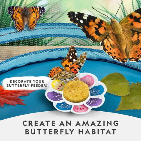 Butterfly Habitat Kit With Voucher For Five Caterpillars, includes mesh cage, decoratable feeder with stickers, butterflies visible