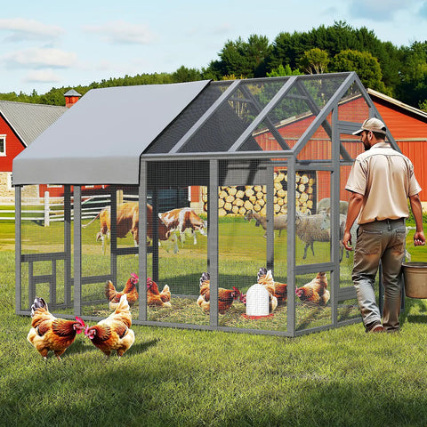 Walk In Wooden Chicken Coop For 10 To 12 Chickens With Large Outdoor Run Predator Proof Galvanized Mesh Covered Poultry Cage Includes Feeder And Easy Access Doors For Backyard Farm Or Yard Easy Clean Up with chickens inside and person tending