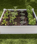 White Vinyl Raised Garden Bed 4 Ft By 4 Ft By 11 In Deep with Modular PVC Construction shown installed on grass with plants.