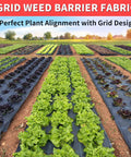 Rows of crops planted using a Heavy Duty Weed Barrier Landscape Fabric 3Ft By 300Ft With Visual Planting Grid for garden bed setup.