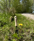 Rock N Root Trowel For Tight Spaces And Deep Digging, Narrow Sharpened Edge Garden Tool in grass with wooden handle
