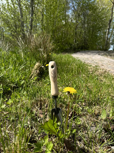 Rock N Root Trowel For Tight Spaces And Deep Digging, Narrow Sharpened Edge Garden Tool in grass with wooden handle