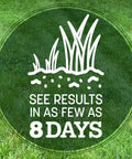 Premium Kentucky 31 Tall Fescue Grass Seed To Build A Badass Drought Resistant Lawn sprouts visible in lush green grass.