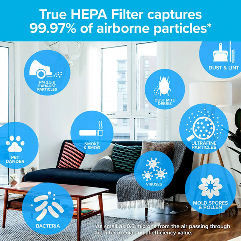 Premium True HEPA Room Air Purifier Filter 12 Inch By 6.75 Inch, 2-Pack, Compatible With FAP-C01BA-G1, FAP-T02WA-G1 And FAP-ST02N, Captures Allergen Particles, Bacteria, And Viruses, Keeps Your Indoor Air Fresh