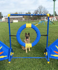 Free Standing Starburst Wings Dog Agility Training Indoor Outdoor Lightweight High Grade PVC Durable Obstacle Equipment