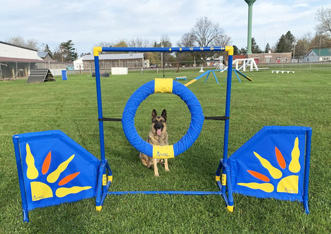 Free Standing Starburst Wings Dog Agility Training Indoor Outdoor Lightweight High Grade PVC Durable Obstacle Equipment