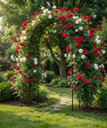 Sturdy Garden Pergola Arbor Arch Trellis With 55 Inches Wide And 94.5 Inches Tall Built To Last, covered in red and white roses.
