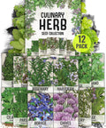 Herb Seed Variety Pack for Indoor or Outdoor Gardens, 12 Culinary Herb Seeds Like Basil, Cilantro, Parsley, Non GMO Heirloom Set