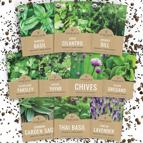 outdoor herb garden seeds Herb Seed Variety Pack With 10 Seeds Non-GMO ✓