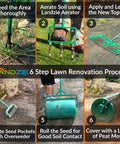 Six-step lawn renovation process with tools including hollow tine lawn aerator, roller, and overseeder for effective lawn care.