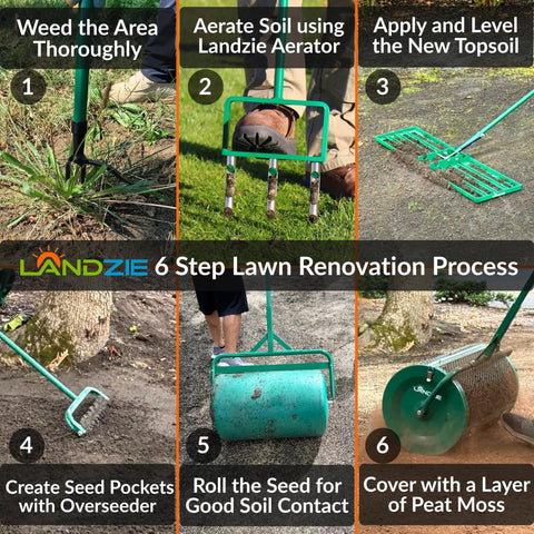 Six-step lawn renovation process with tools including hollow tine lawn aerator, roller, and overseeder for effective lawn care.