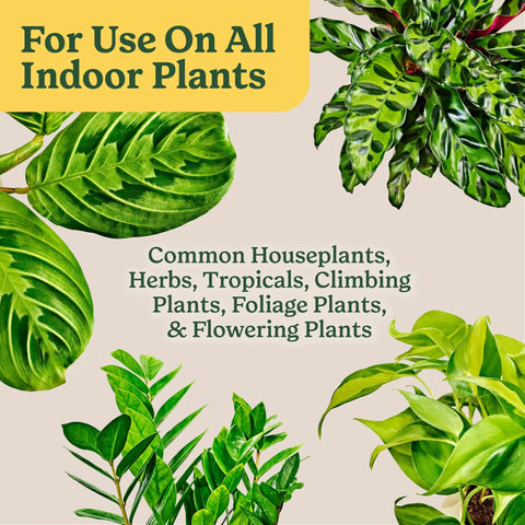 Start Your Indoor Plant Glow Up For Top Shelf Potting Mix For All Houseplants Keeping Roots Thriving For Up To Six Months With Peat Moss Coconut Coir And Perlite