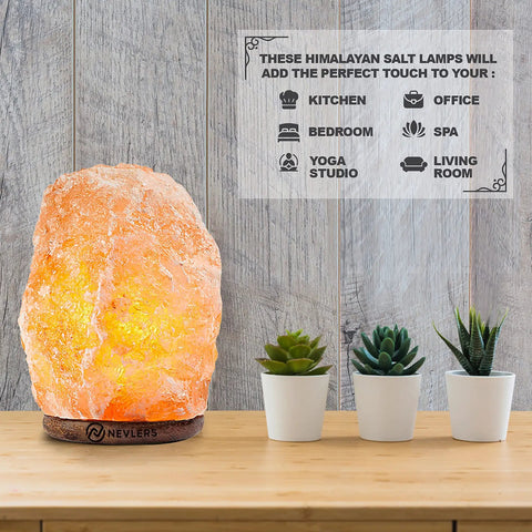 Two Pack Pink Himalayan Salt Lamps With Dimmer Cord And Bulb, 6 To 8 Inch Tall Rock Salt Lamps On Wood Base with succulents
