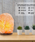 Three Pack Natural Pink Himalayan Salt Lamp With Dimmer Cord And Light Bulb Six To Eight Inch Tall Salt Rock Lamp On Wood Base