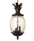 Lanai Collection 3 Light Outdoor Hanging Lantern In Black Coral Finish with pineapple-cut glass and leaf motifs