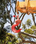 Red hook attached to crane with Heavy Duty Half Inch Anchor Shackles Alloy Screw Pin Forged Carbon Steel Ten Pack D Ring Shackles Two Ton 4400 Lbs Working Load Limit Built Tough For Rigging Lifting And Towing in forest setting