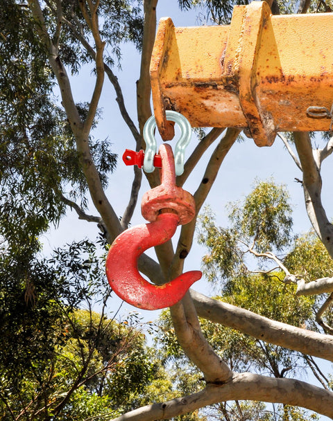 Red hook attached to crane with Heavy Duty Half Inch Anchor Shackles Alloy Screw Pin Forged Carbon Steel Ten Pack D Ring Shackles Two Ton 4400 Lbs Working Load Limit Built Tough For Rigging Lifting And Towing in forest setting