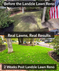 Before and after comparison of a lawn renovation, showing grass improvement from sparse to lush green after 2 weeks.