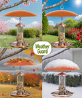 13 Inch Hummingbird Feeder Shade Cover Rain Shield Dome for Outdoor Bird Feeders Two Pack Terracotta Weather Guard for Shepherds Hook protects feeder from weather elements, shown in different seasons.