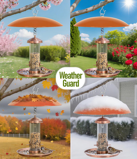 13 Inch Hummingbird Feeder Shade Cover Rain Shield Dome for Outdoor Bird Feeders Two Pack Terracotta Weather Guard for Shepherds Hook protects feeder from weather elements, shown in different seasons.