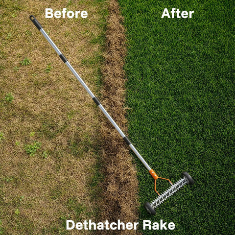 Heavy Duty 15 Inch Dethatching Rake With Wheels 21 Steel Teeth To Clear Thatch And Dead Grass Fast Yard Work Ready Adjustable