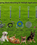 Heavy Duty Rustproof Stainless Steel Dog Tie Out Shock Absorber Spring Absorbs Sudden Yanks And Pulls shown with dog gear