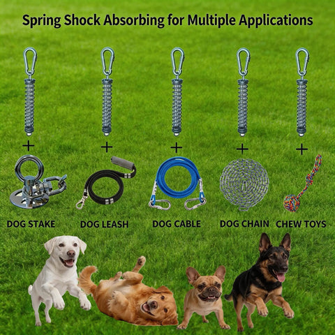 Heavy Duty Rustproof Stainless Steel Dog Tie Out Shock Absorber Spring Absorbs Sudden Yanks And Pulls shown with dog gear