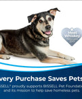 Rescue dog Whiskey lying down, promoting Bissell Pet Foundation's support for saving homeless pets. Heart tag reads 'Meet Whiskey Rescued 2017'.
