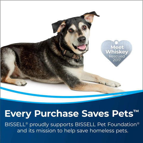 Rescue dog Whiskey lying down, promoting Bissell Pet Foundation's support for saving homeless pets. Heart tag reads 'Meet Whiskey Rescued 2017'.