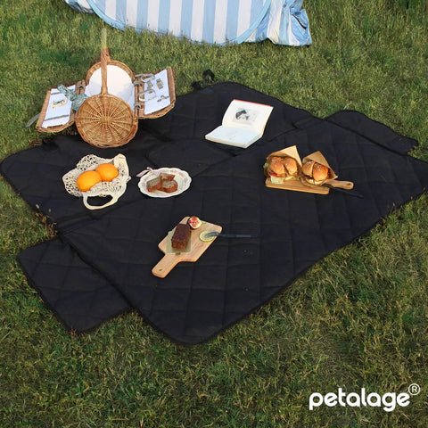 Outdoor picnic setup on a black mat with food, a wicker basket, and a book, displayed in a grassy area.
