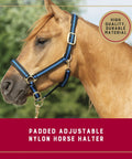 Horse wearing a Nylon Horse Halter With Padded Comfort And Fully Adjustable Fit, chin and throat snap hooks, brass hardware