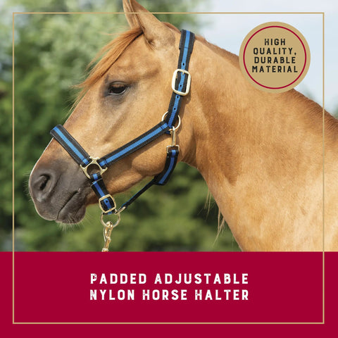 Horse wearing a Nylon Horse Halter With Padded Comfort And Fully Adjustable Fit, chin and throat snap hooks, brass hardware