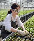 Person wearing Ultra Lightweight Disposable Safety Glasses Pack Of 12 Featherlight Protective Eyewear With Antifog Lens for planting.