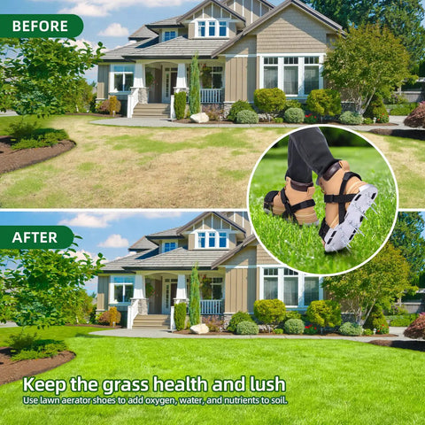 Before and after using Aluminum Lawn Aerator Shoes With 2.2 Inch Spikes For Deep Core Aeration on grass, round inset of sandals