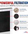 Diagram showing True HEPA Air Purifier Filter Replacement Kit With Odor Carbon Filters for Oreck OptiMax AIR95 features.