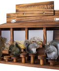 Wooden Squirrel Picnic Table Feeder With Four Seed Compartments And Seven Tier Bar Stools, Durable Burnt Wood Finish