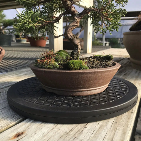 Mini Bonsai Tree Turntable With A Twelve Point Five Inch Base And Stainless Steel Ball Bearings 360 Degree Rotation