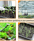 Durable 5 Pack Seed Starter Trays For Indoor Or Outdoor Gardening 17 By 10 By 2.4 Inches in greenhouse and garden settings