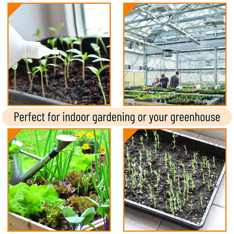 Durable 5 Pack Seed Starter Trays For Indoor Or Outdoor Gardening 17 By 10 By 2.4 Inches in greenhouse and garden settings