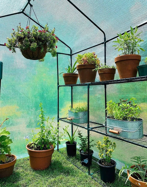 Outdoor Walk In Greenhouse With Screen Windows 57 X 57 X 76 Inches Heavy Duty Portable Plastic Grow House Built For Grower Friendly 3 Tiers And 12 Shelves With Shelf Clips PE Cover For All Weather Year Round Planting